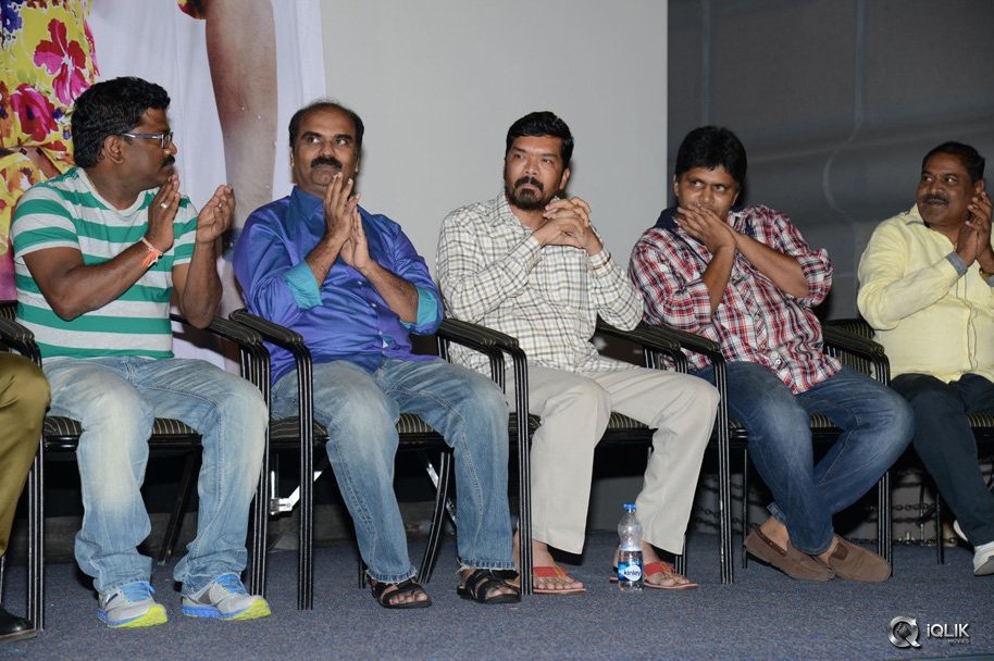 Dhee-Ante-Dhee-Movie-Platinum-Disc-Function